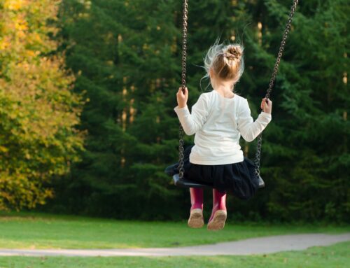 How to Have Your Children Looked After During School Holidays?